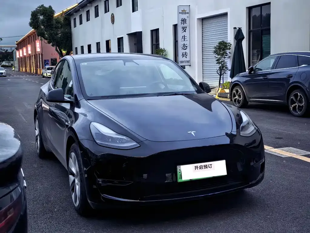 Tesla Model Y — фото 9