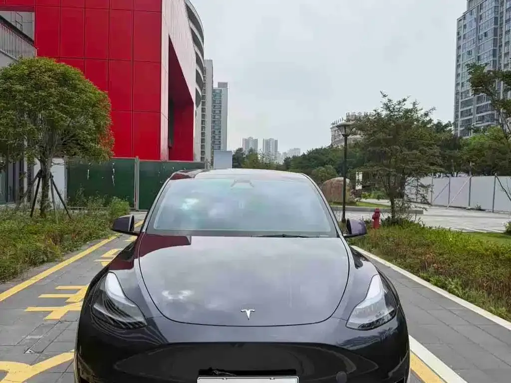 Tesla Model Y — фото 9