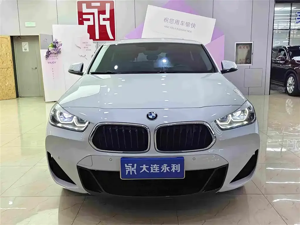 BMW X2 2023 из CN, фото 6