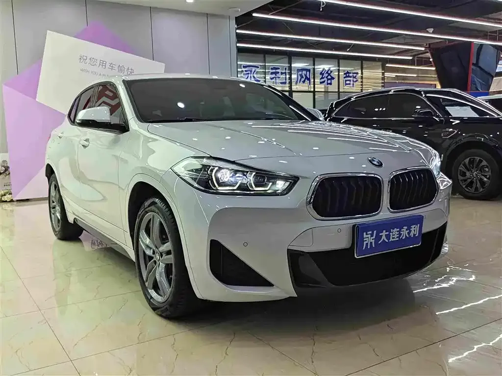 BMW X2 2023 из CN, фото 9