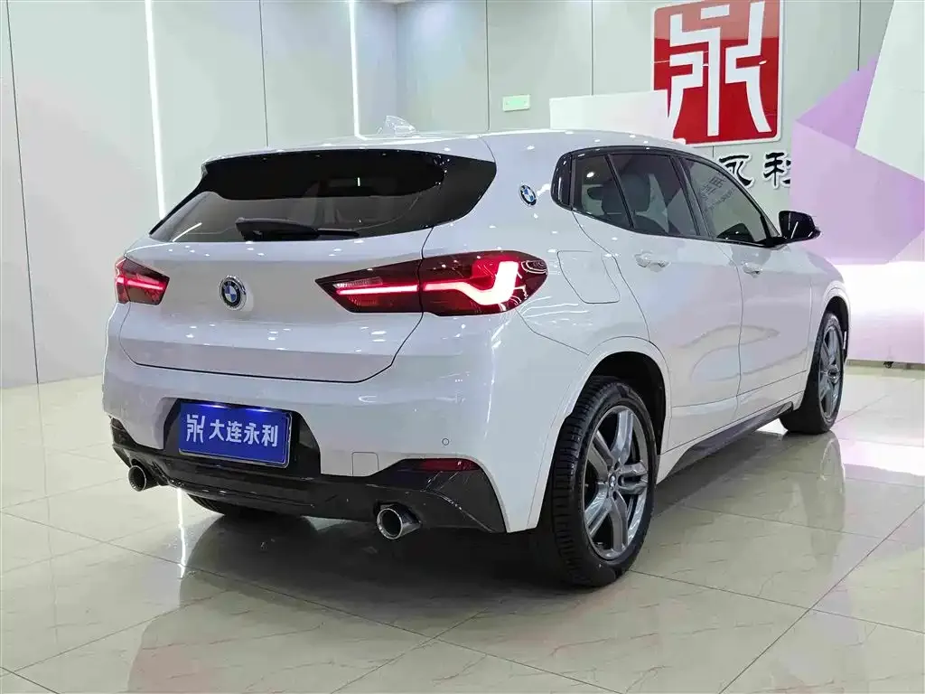 BMW X2 2023 из CN, фото 8