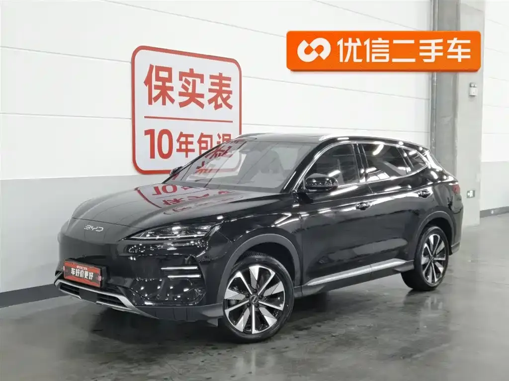 BYD PLUS New Energy — фото 1