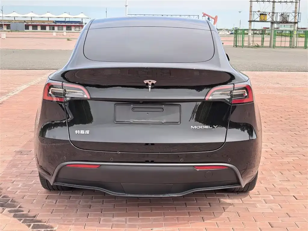 Tesla Model Y — фото 6