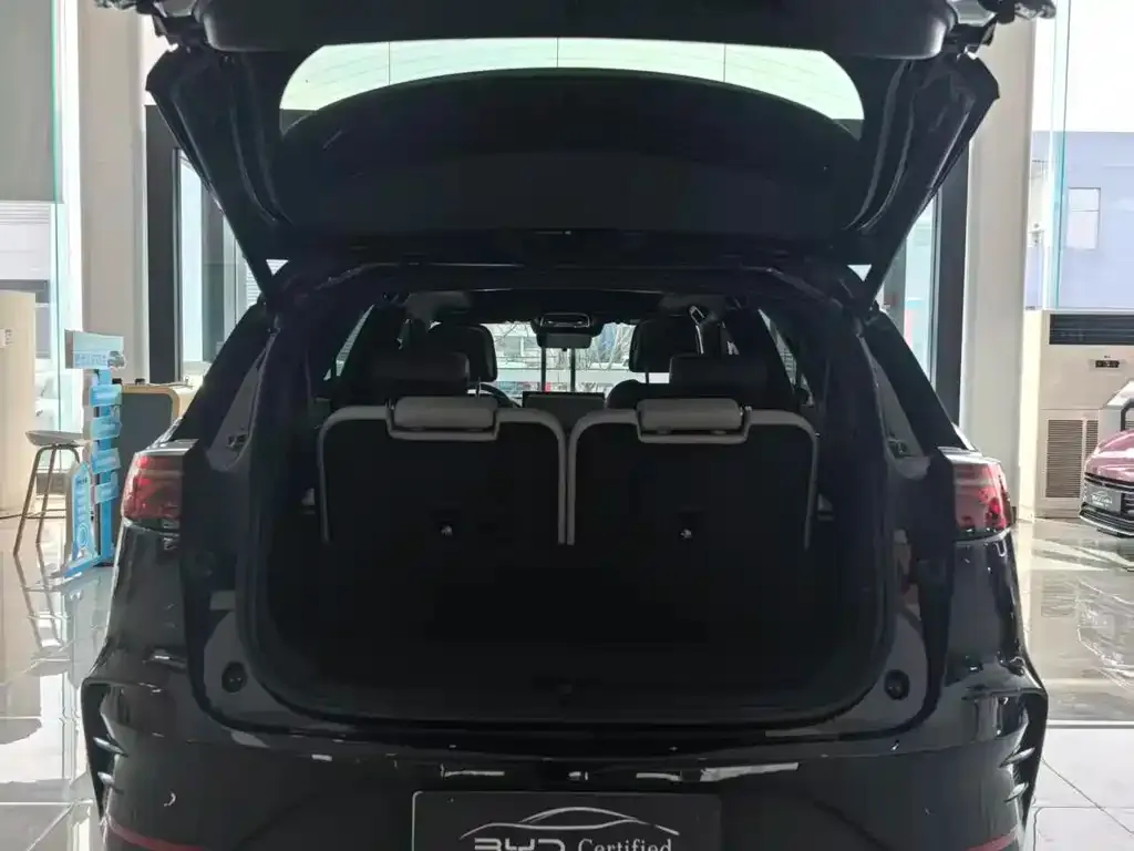BYD Tang New Energy — фото 10