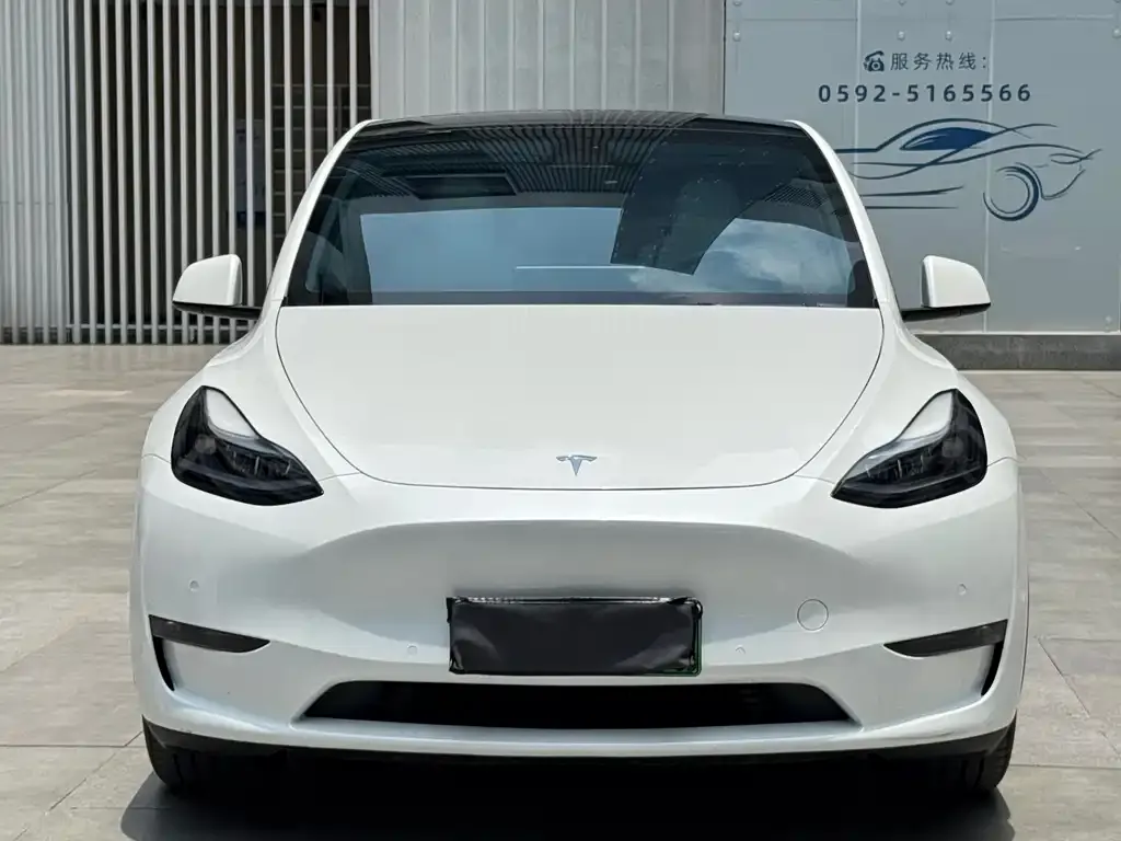 Tesla Model Y — фото 2