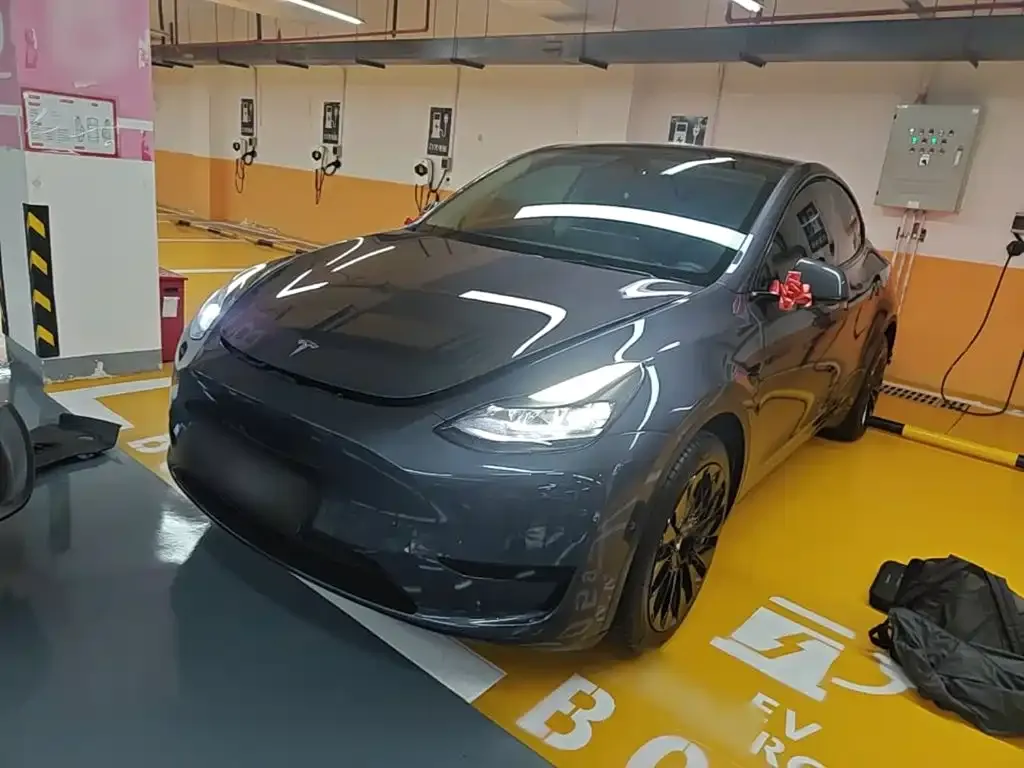 Tesla Model Y — фото 8