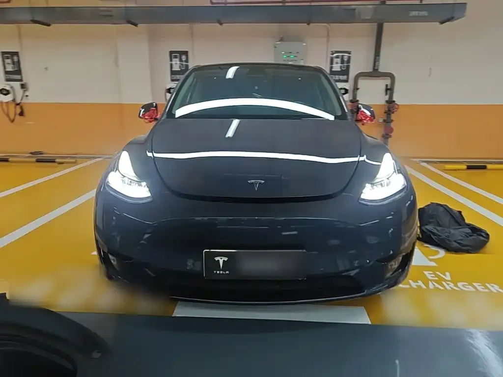 Tesla Model Y — фото 3