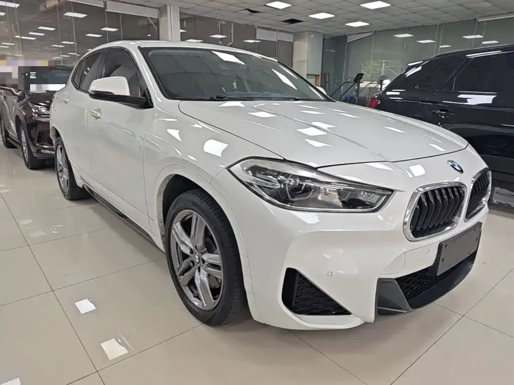 BMW X2 2021 из CN, фото 5