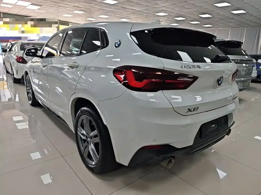 BMW X2 2021 из CN, фото 9