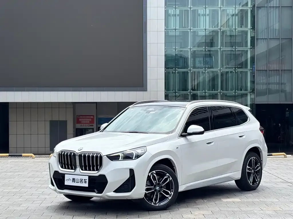 BMW X1 — фото 1