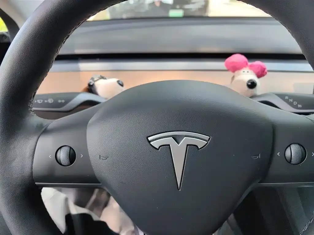 Tesla Model 3 — фото 2