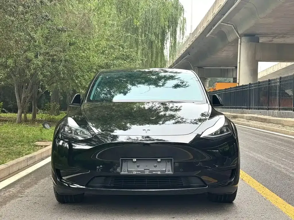 Tesla Model Y — фото 5