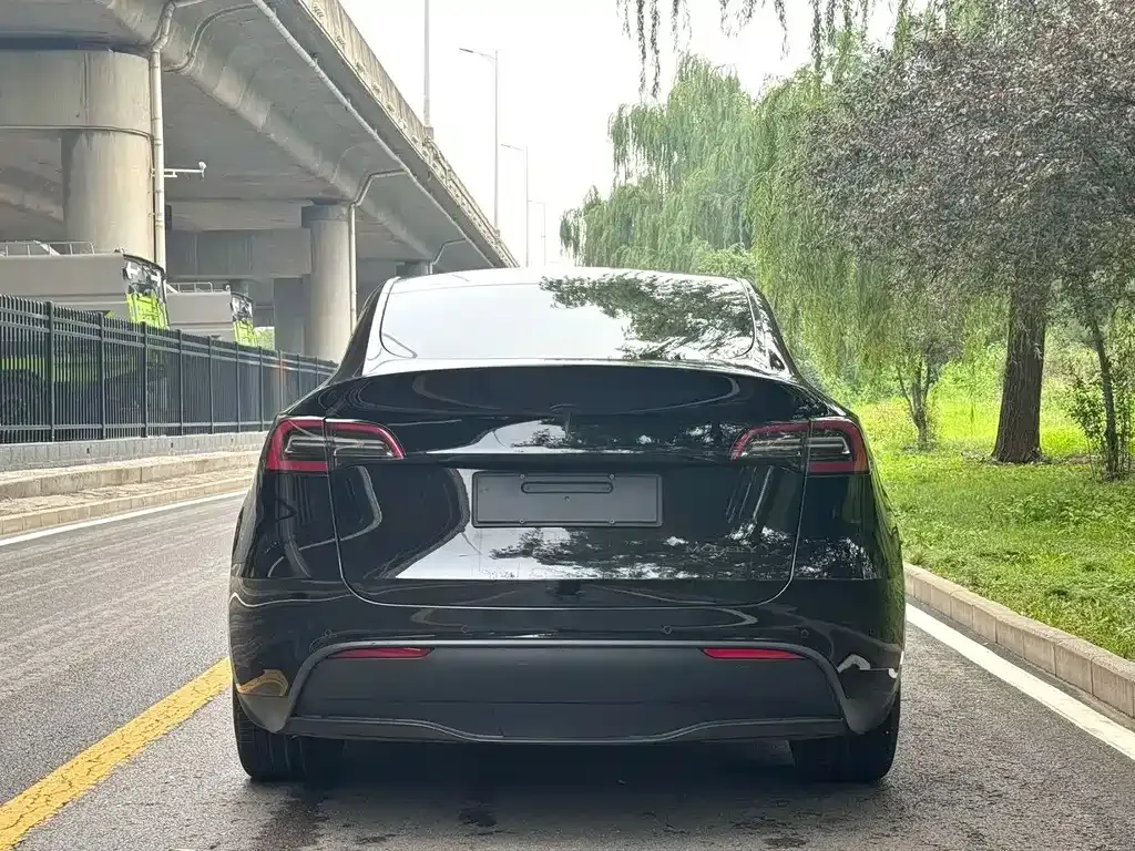 Tesla Model Y — фото 4
