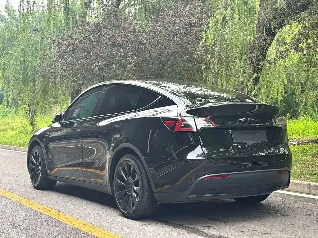 Tesla Model Y — фото 9