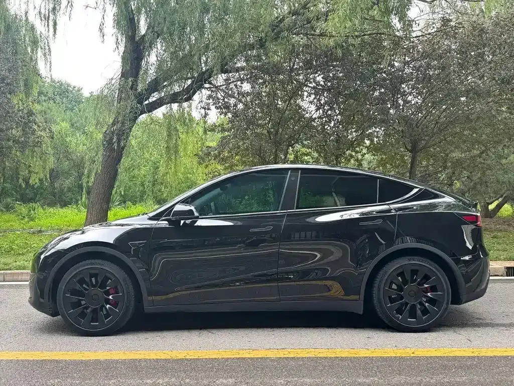 Tesla Model Y — фото 6