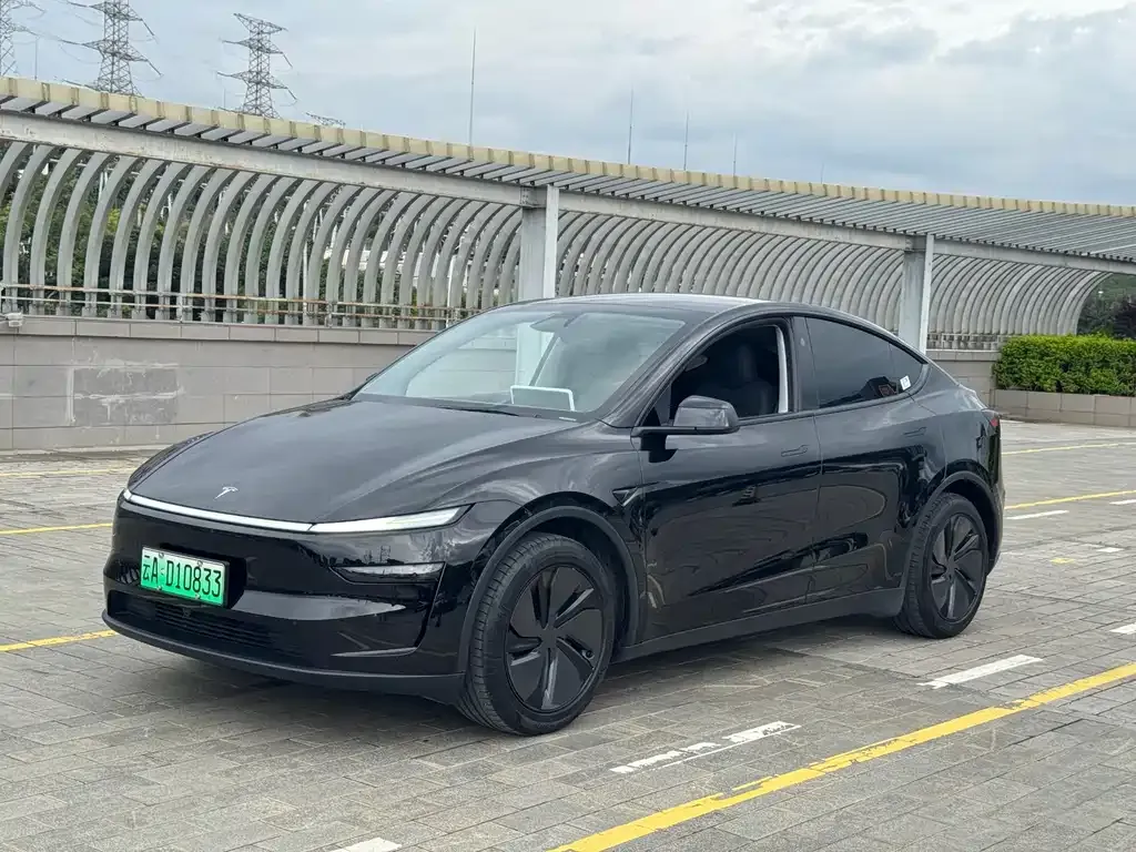 Tesla Model Y — фото 1