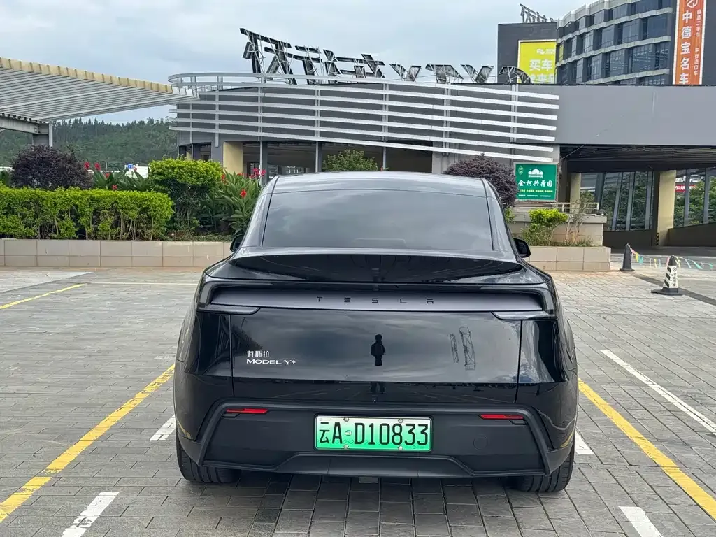 Tesla Model Y — фото 5