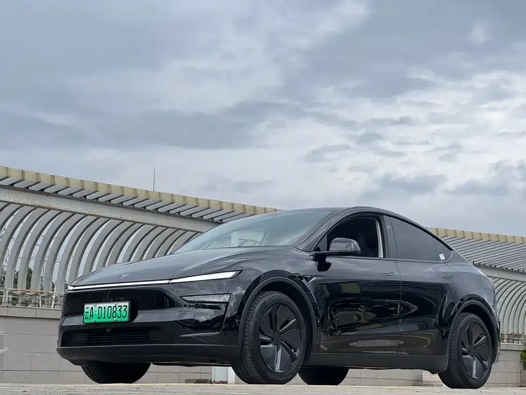 Tesla Model Y — фото 9