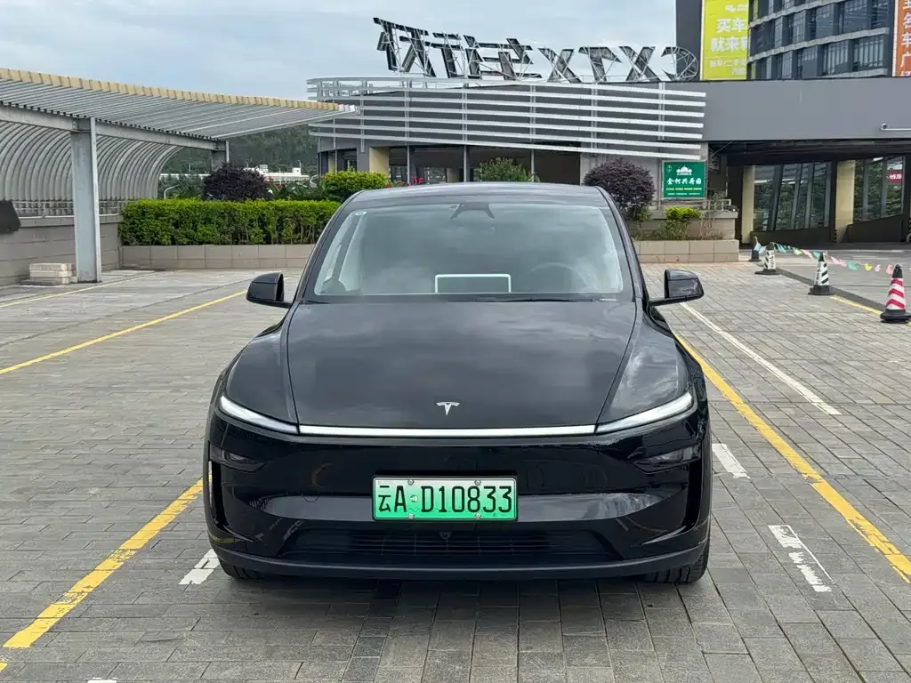 Tesla Model Y — фото 8