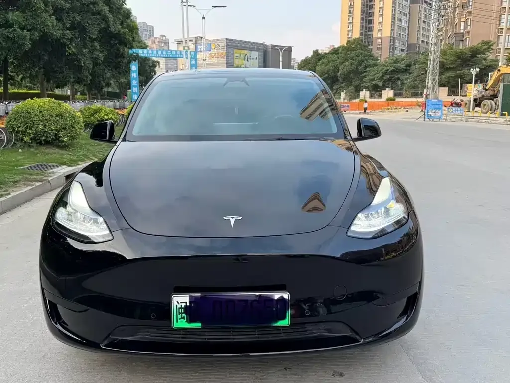 Tesla Model Y — фото 1
