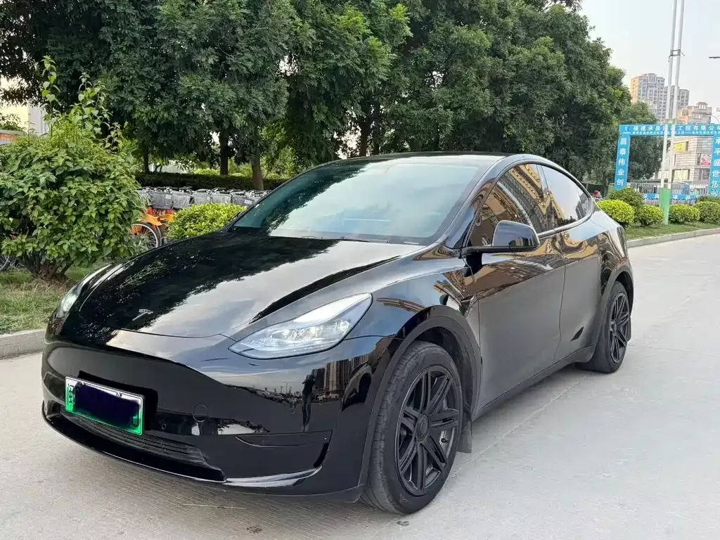 Tesla Model Y — фото 8