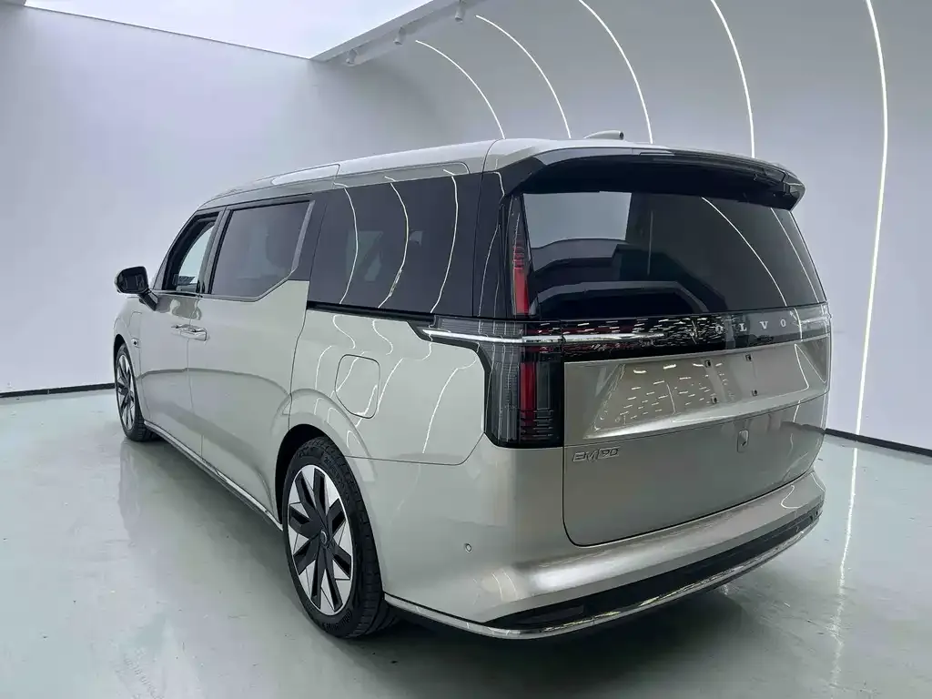 Volvo EM90 2024 из CN, фото 5