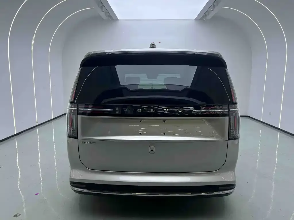 Volvo EM90 2024 из CN, фото 10