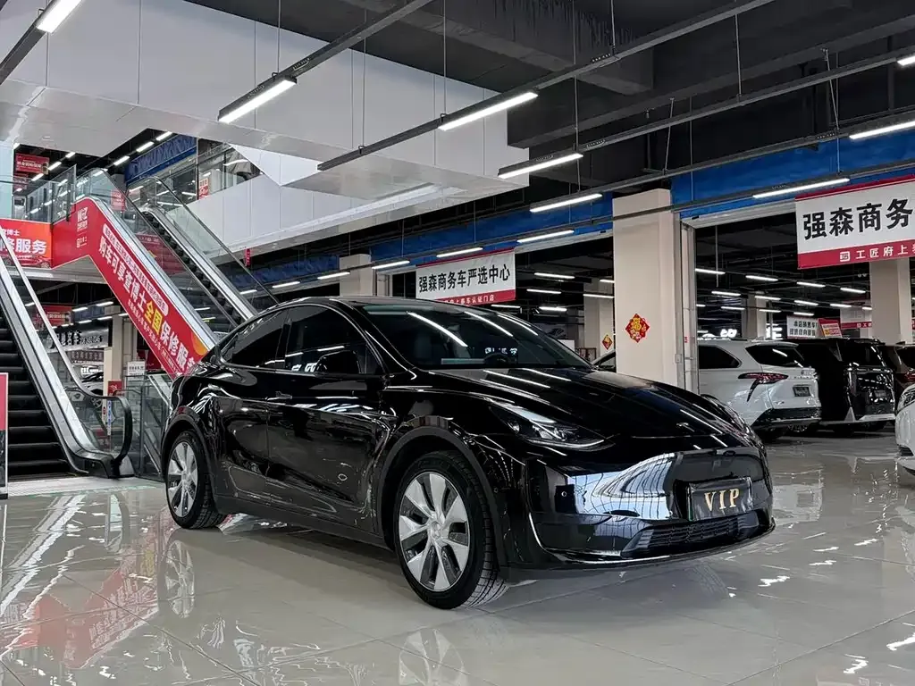 Tesla Model Y — фото 8