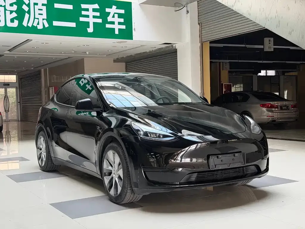 Tesla Model Y — фото 9