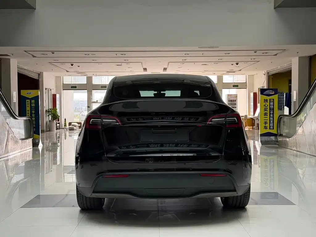 Tesla Model Y — фото 10