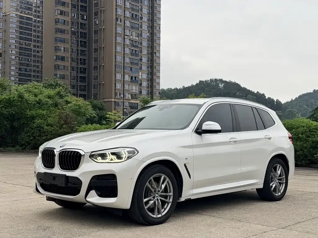 BMW X3 2021 из CN, фото 2