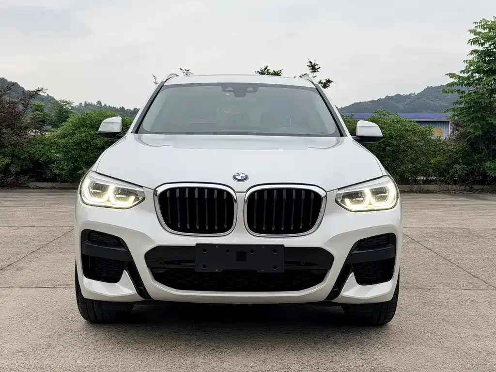 BMW X3 2021 из CN, фото 8
