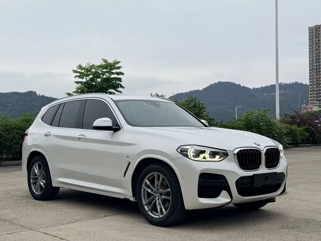 BMW X3 2021 из CN, фото 3