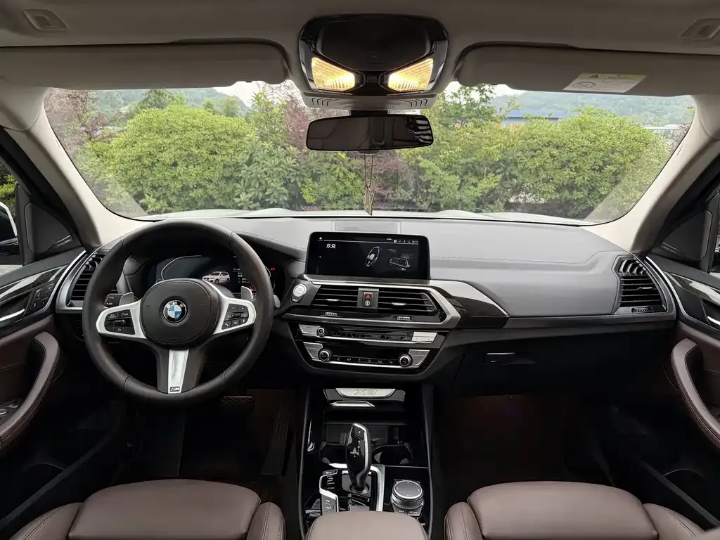 BMW X3 2021 из CN, фото 7