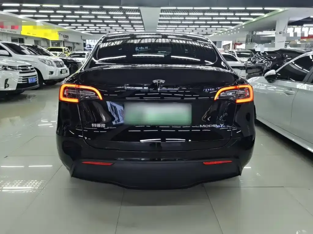 Tesla Model Y — фото 10