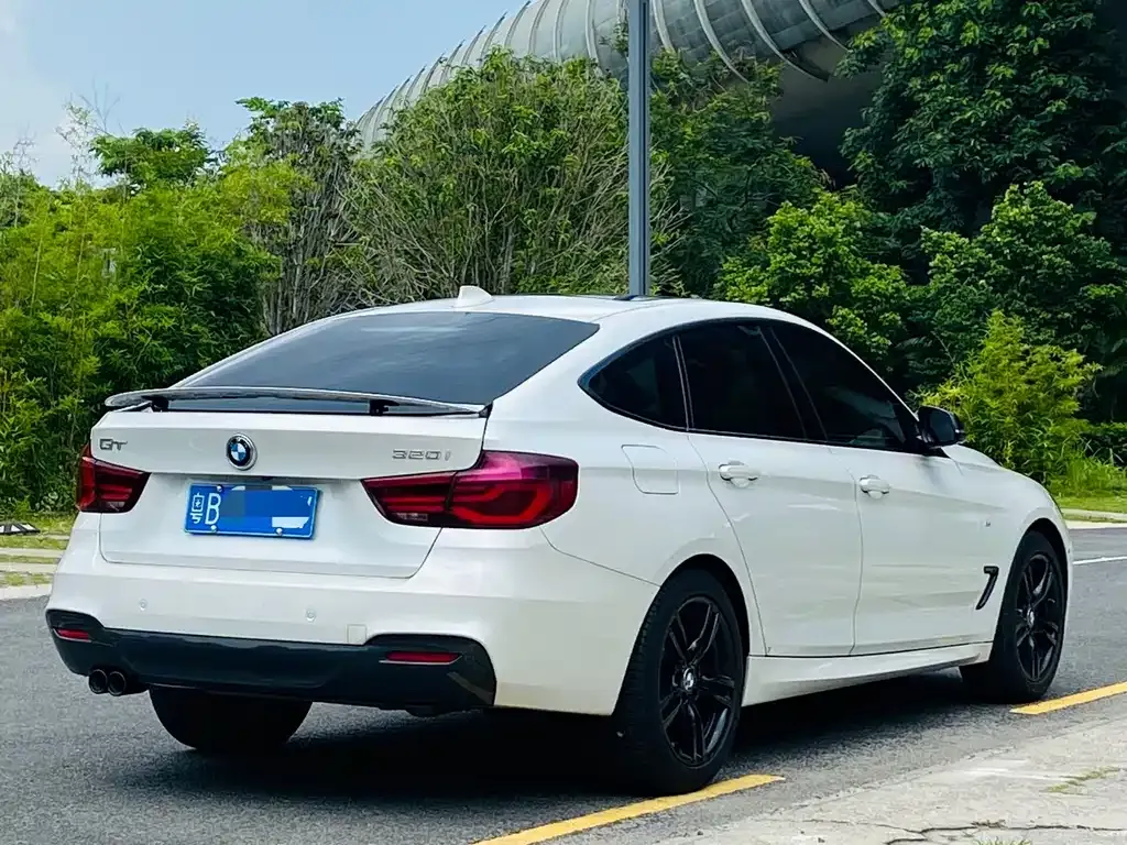 BMW 3 Series GT 2021 из CN, фото 9