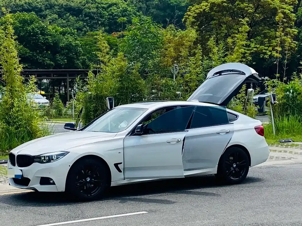 BMW 3 Series GT 2021 из CN, фото 8