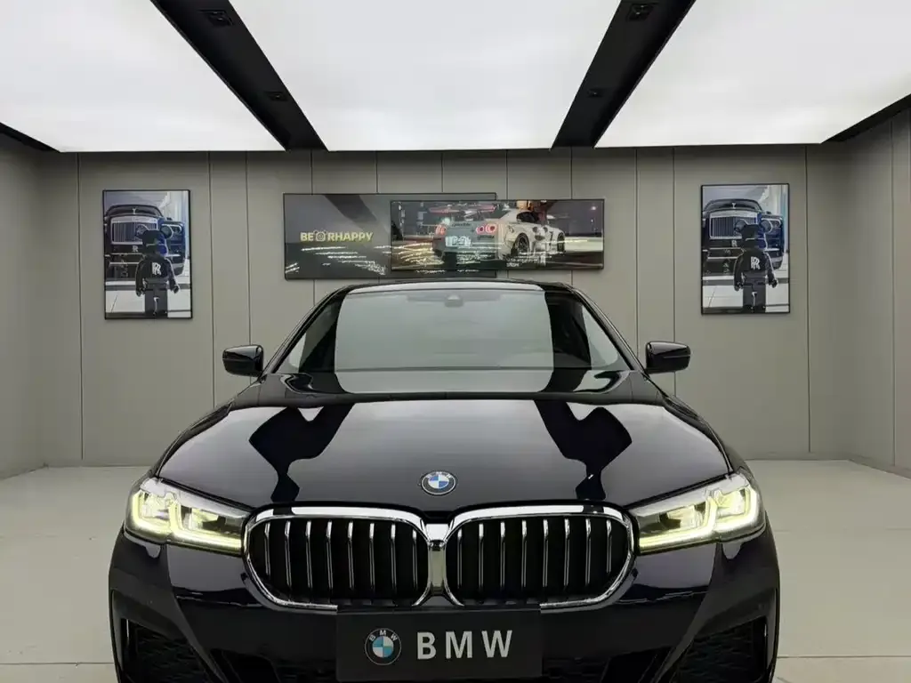 BMW 5 Series 2022 из CN, фото 2
