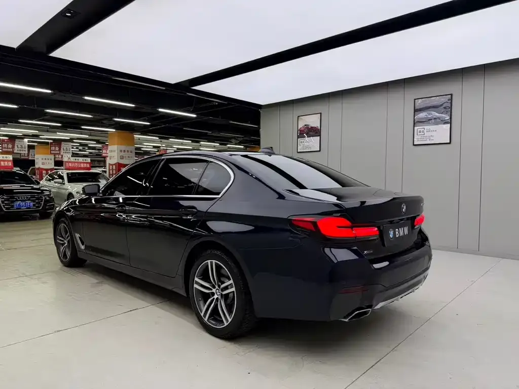 BMW 5 Series 2022 из CN, фото 3