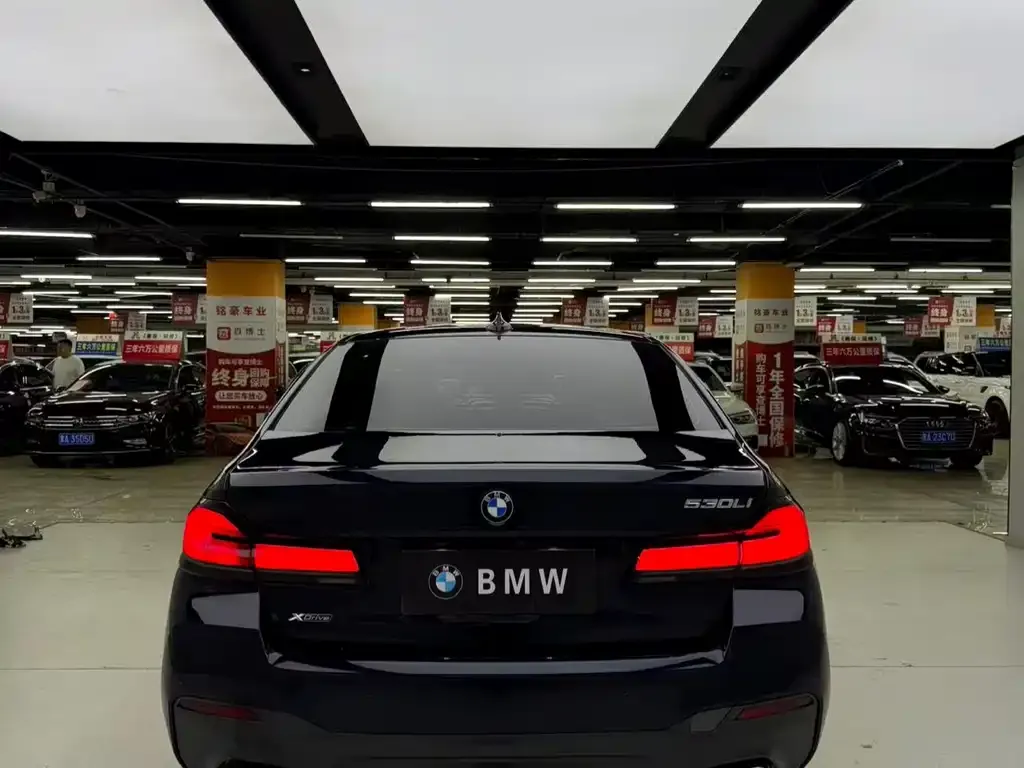 BMW 5 Series 2022 из CN, фото 9