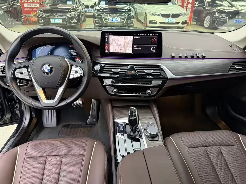 BMW 5 Series 2022 из CN, фото 10