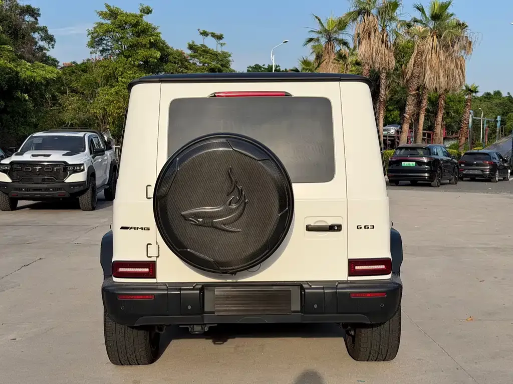 Mercedes-Benz G-Class 2021 из CN, фото 8