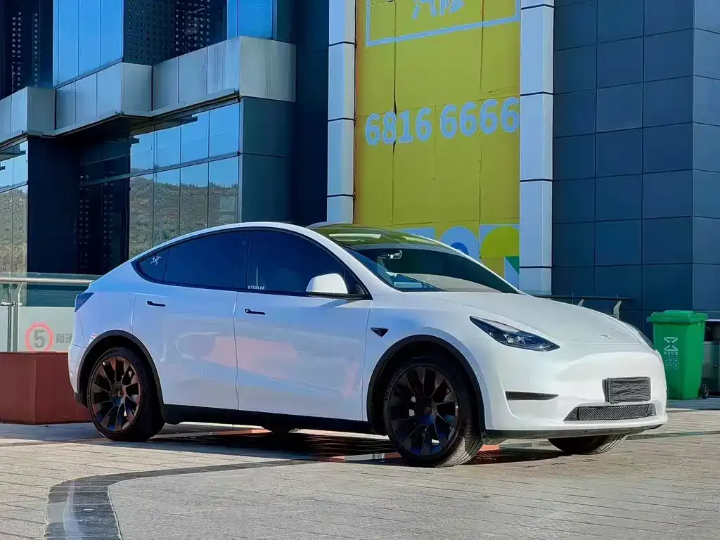 Tesla Model Y — фото 5