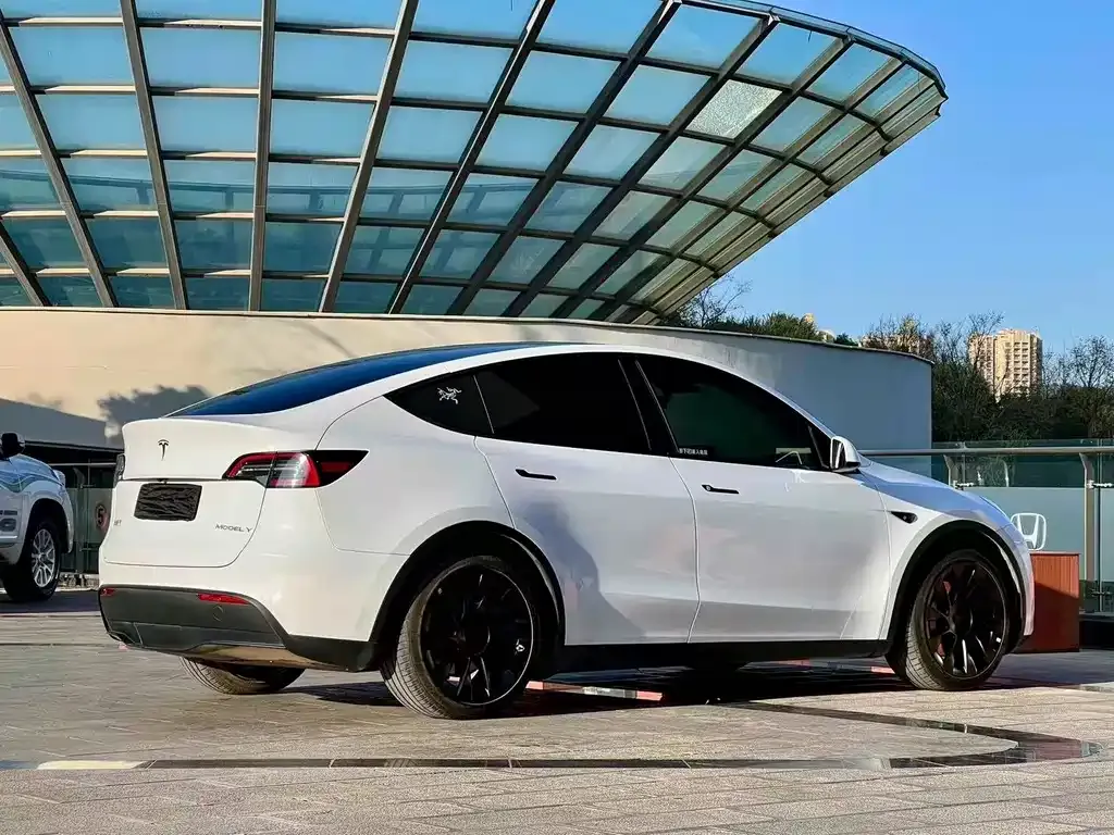 Tesla Model Y — фото 6