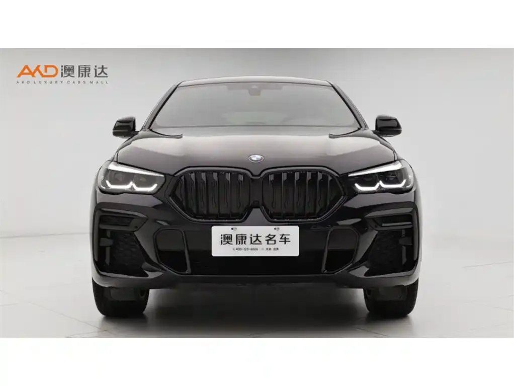 BMW X6 2023 из CN, фото 4