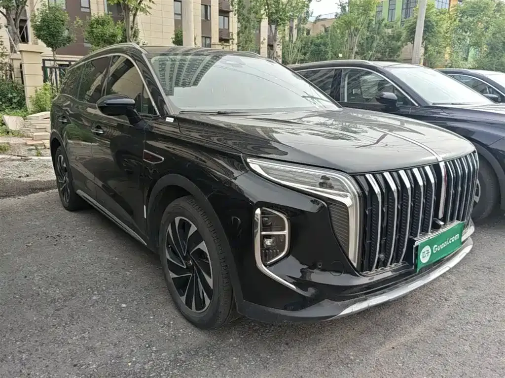 Hongqi HS7 PHEV — фото 7