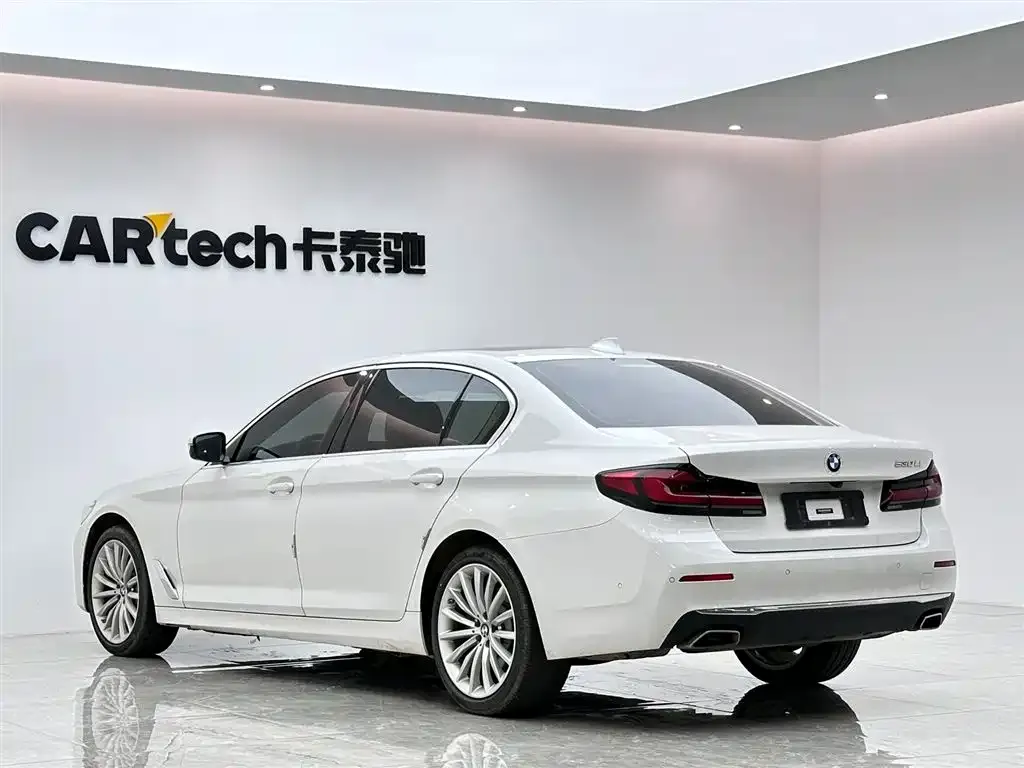 BMW 5 Series 2021 из CN, фото 7