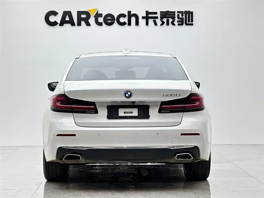 BMW 5 Series 2021 из CN, фото 2