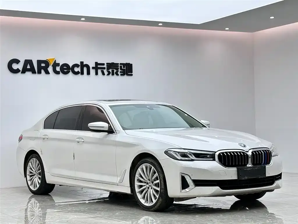 BMW 5 Series 2021 из CN, фото 4