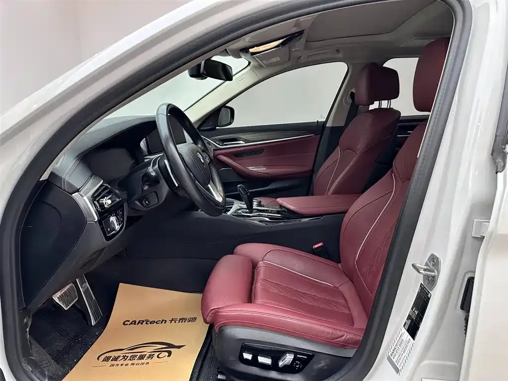 BMW 5 Series 2021 из CN, фото 8